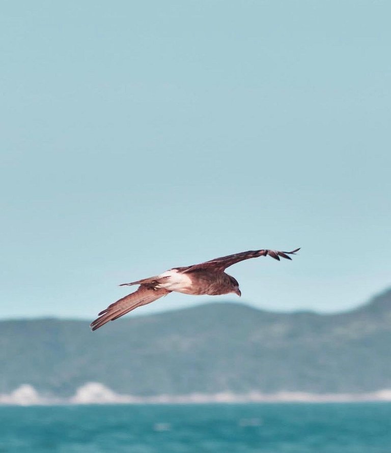 226 - Apartamento com 3 suítes praia de Mariscal