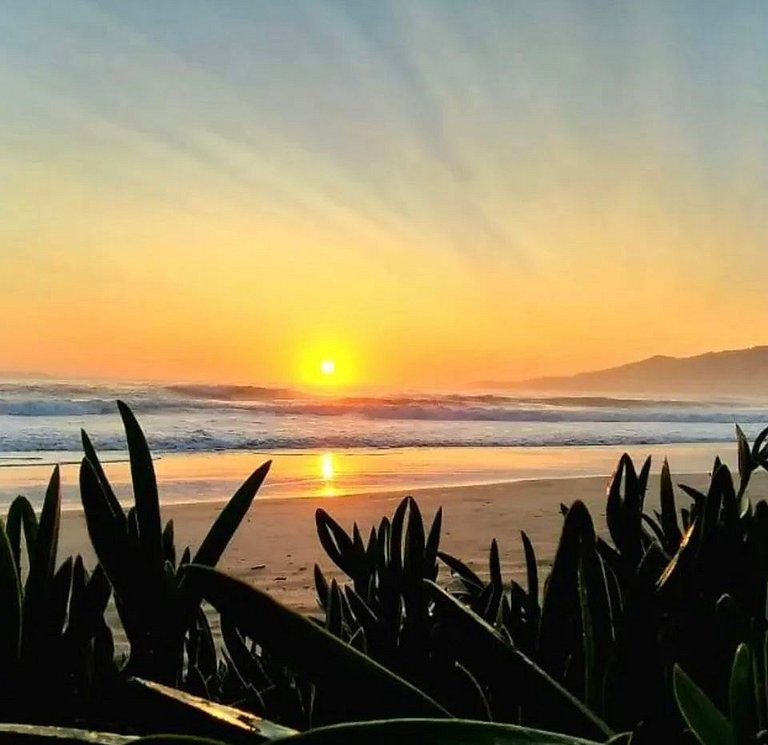 226 - Apartamento com 3 suítes praia de Mariscal